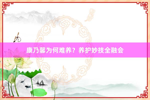 康乃馨为何难养？养护妙技全融会