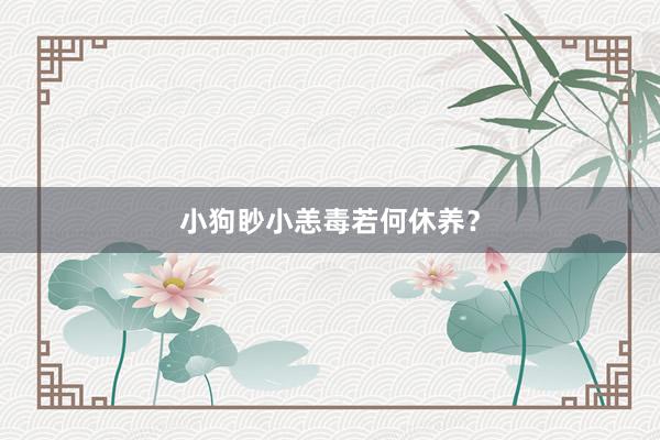 小狗眇小恙毒若何休养？